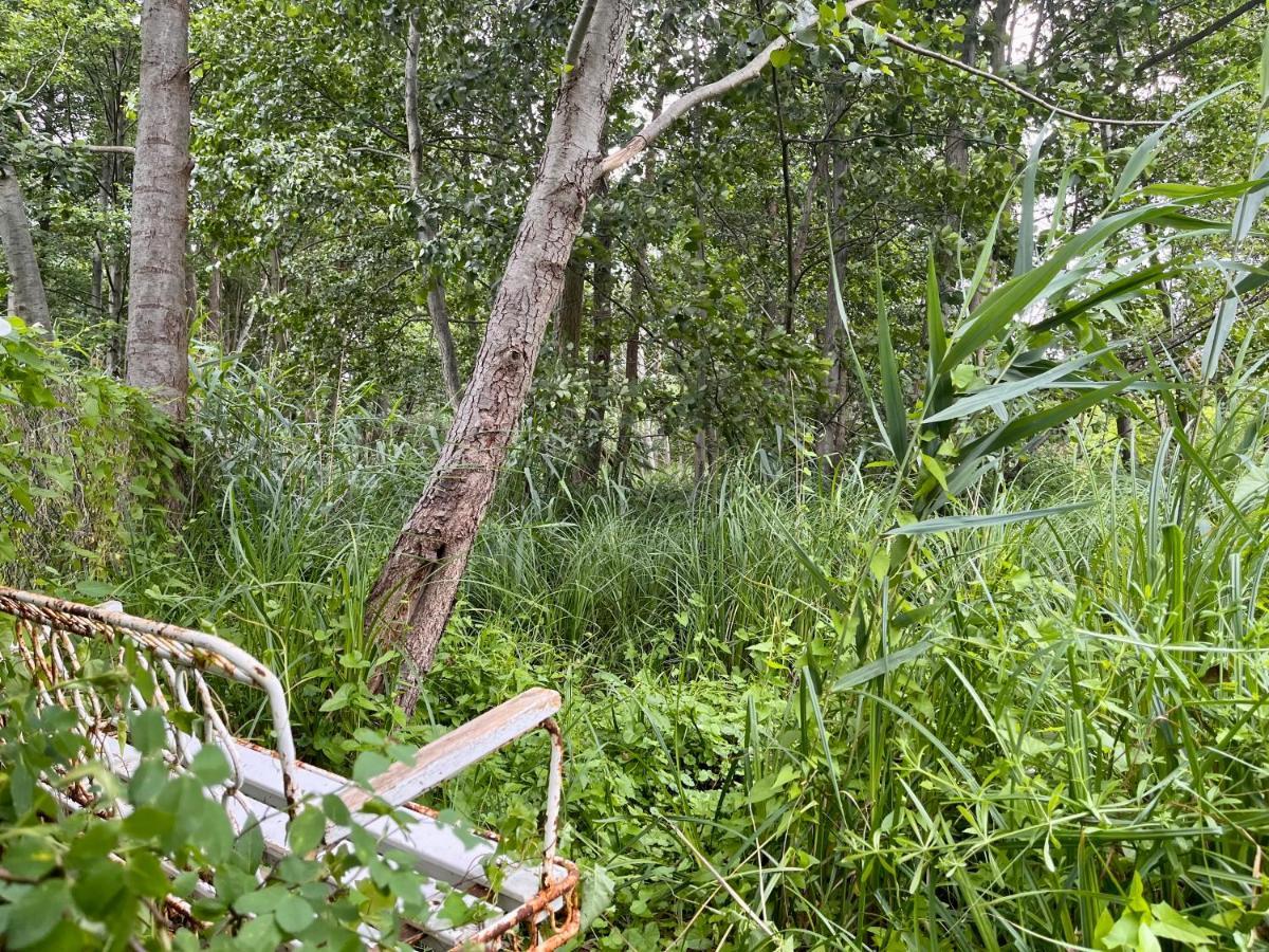 Haeuschen In Den Erlen Villa Eberswalde Kültér fotó